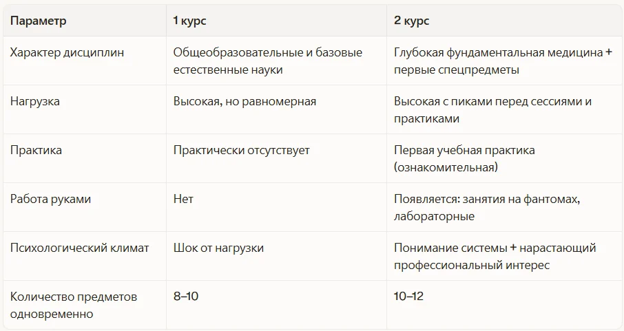 Отличия первого и второго курса