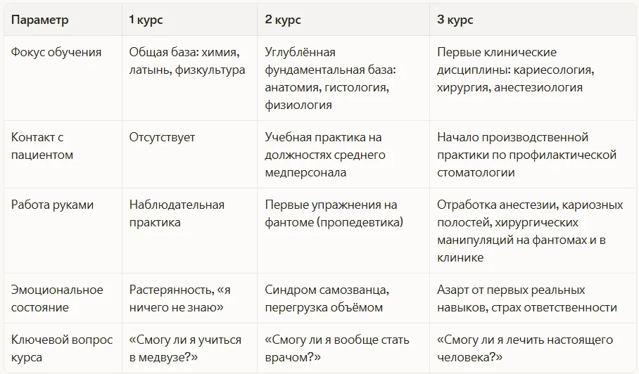 Что происходит на разных курсах
