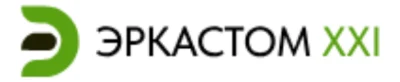 Логотип: ЭРКАСТОМ XXI